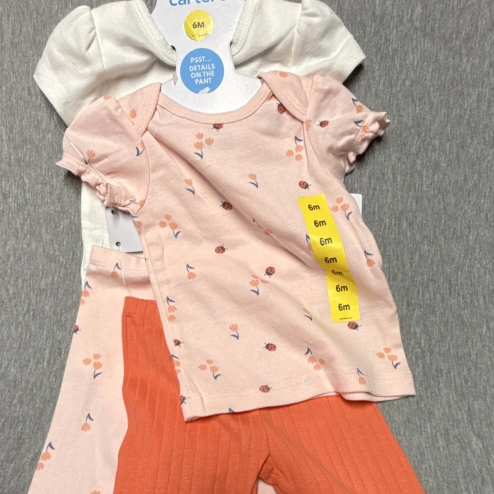 Carter's 3 Piece Ladybug Floral Pants Set 6M Pink Orange Shirt Bodysuit